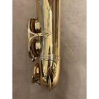 Selmer Paris Mark VII altsaxofoon 286213