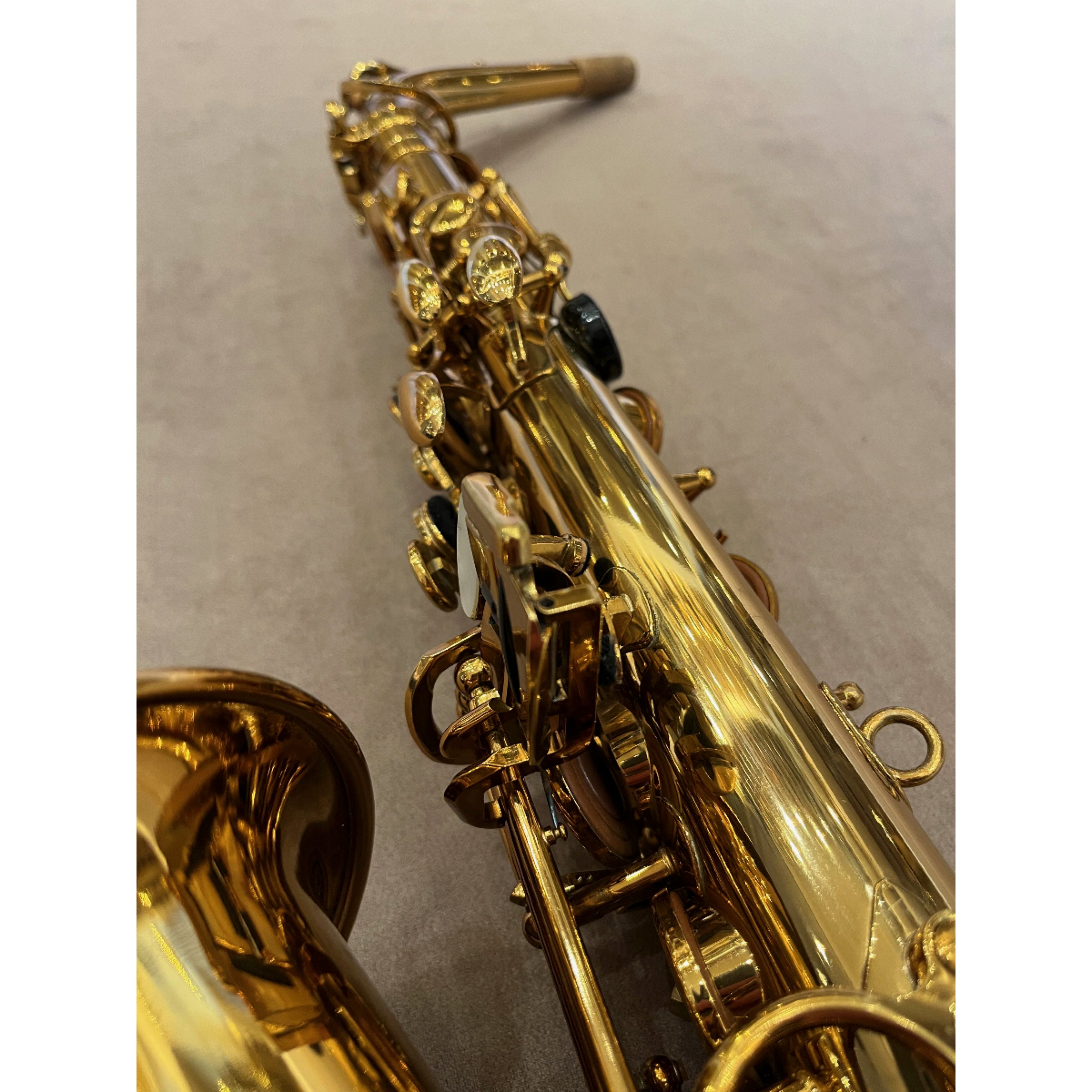 Selmer Paris Reference 54 Hummingbird altsaxofoon 664312