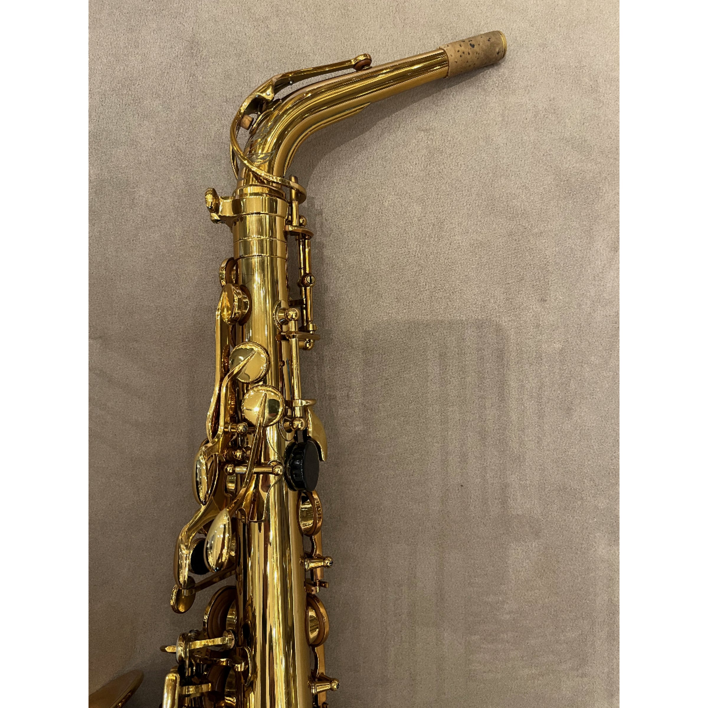 Selmer Paris Reference 54 Hummingbird altsaxofoon 664312