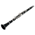 Buffet Crampon E11 Bb klarinet | €100 HUUR + €220 BORG