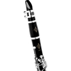 Buffet Crampon E12F Bb klarinet | €125 HUUR + €300 BORG