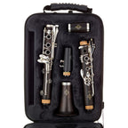Buffet Crampon E12F Bb klarinet | €125 HUUR + €300 BORG
