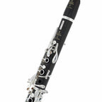 Buffet Crampon Tradition Bb klarinet