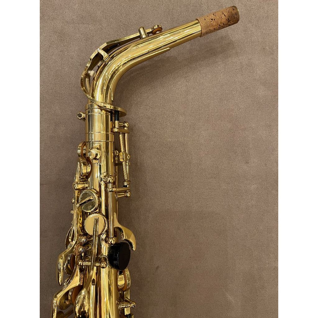 Trevor James Classic altsaxofoon D4026
