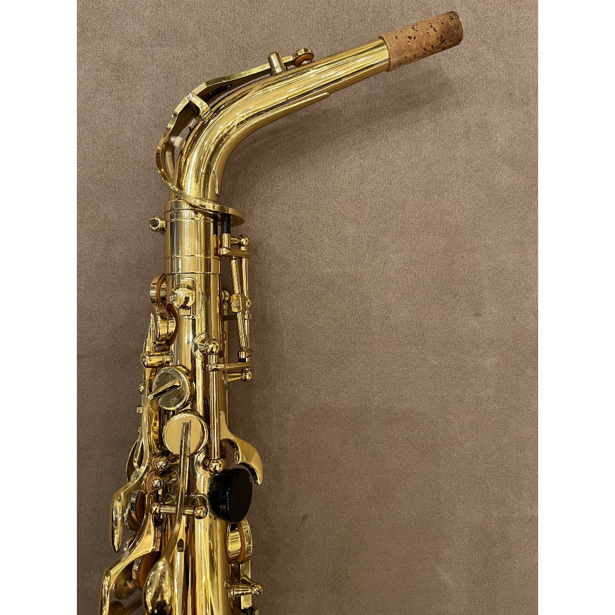 Trevor James Classic altsaxofoon D4026