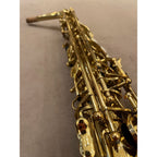Trevor James Classic altsaxofoon D4026