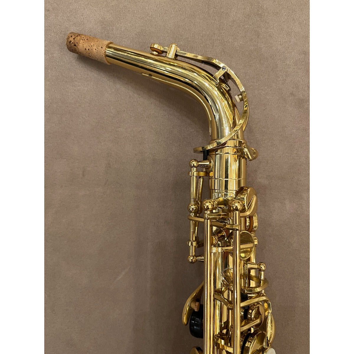 Trevor James Classic altsaxofoon D4026