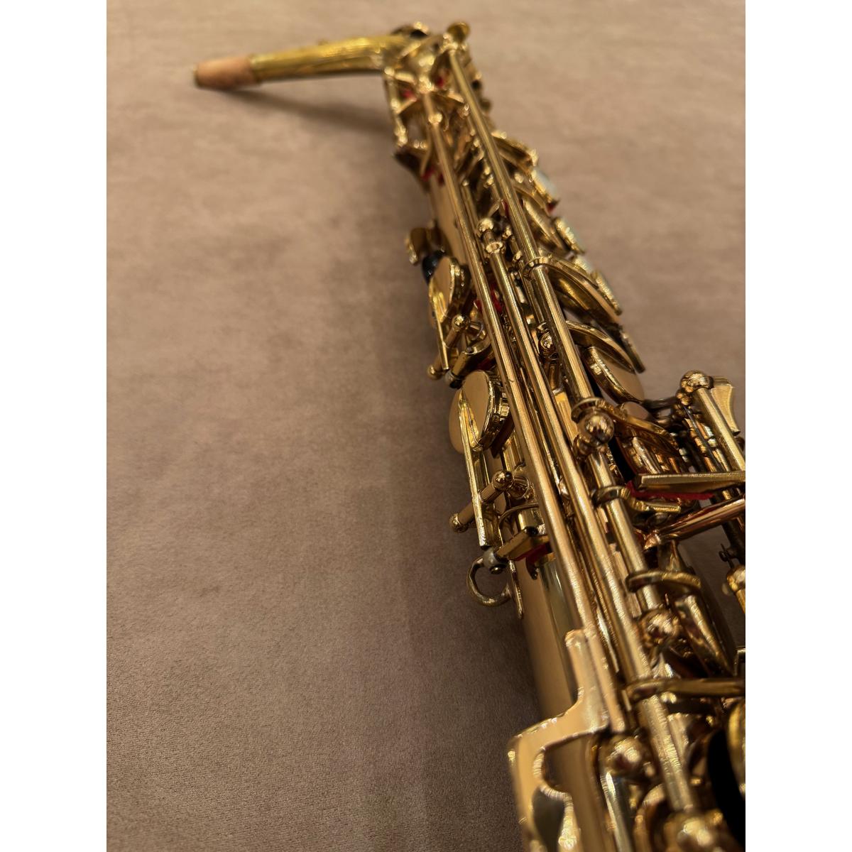 Selmer Paris Mark VI altsaxofoon 185763