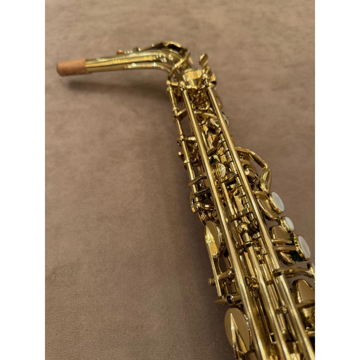 Selmer Paris Series III altsaxofoon 599677