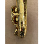 Selmer Paris Series III altsaxofoon 599677