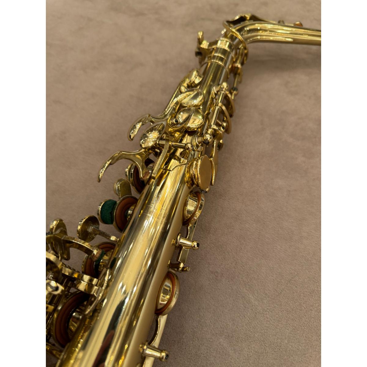 Selmer Paris Series III altsaxofoon 599677