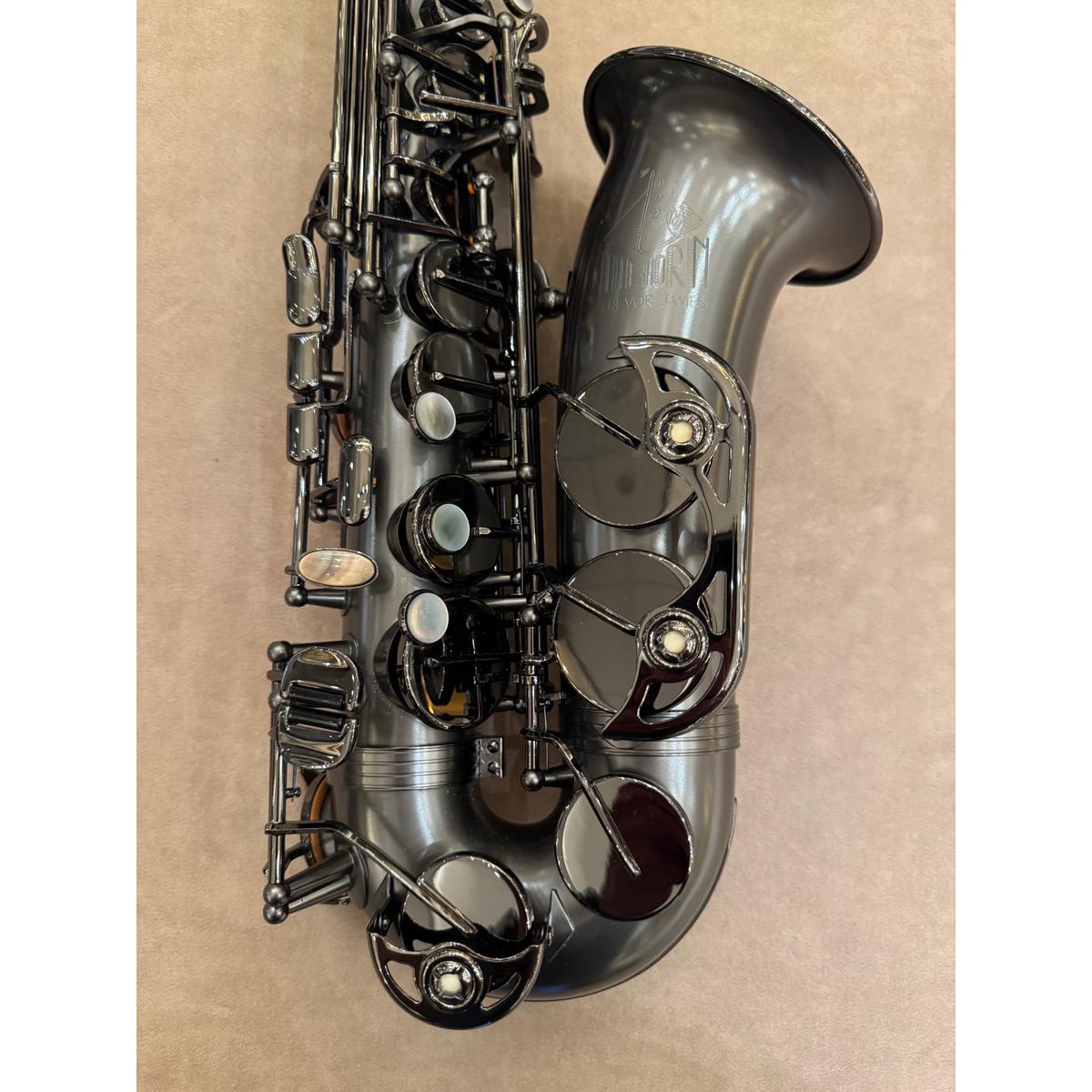 Trevor James The Horn Classic II altsaxofoon D23728