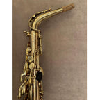 Selmer Paris SA80II altsaxofoon 476183