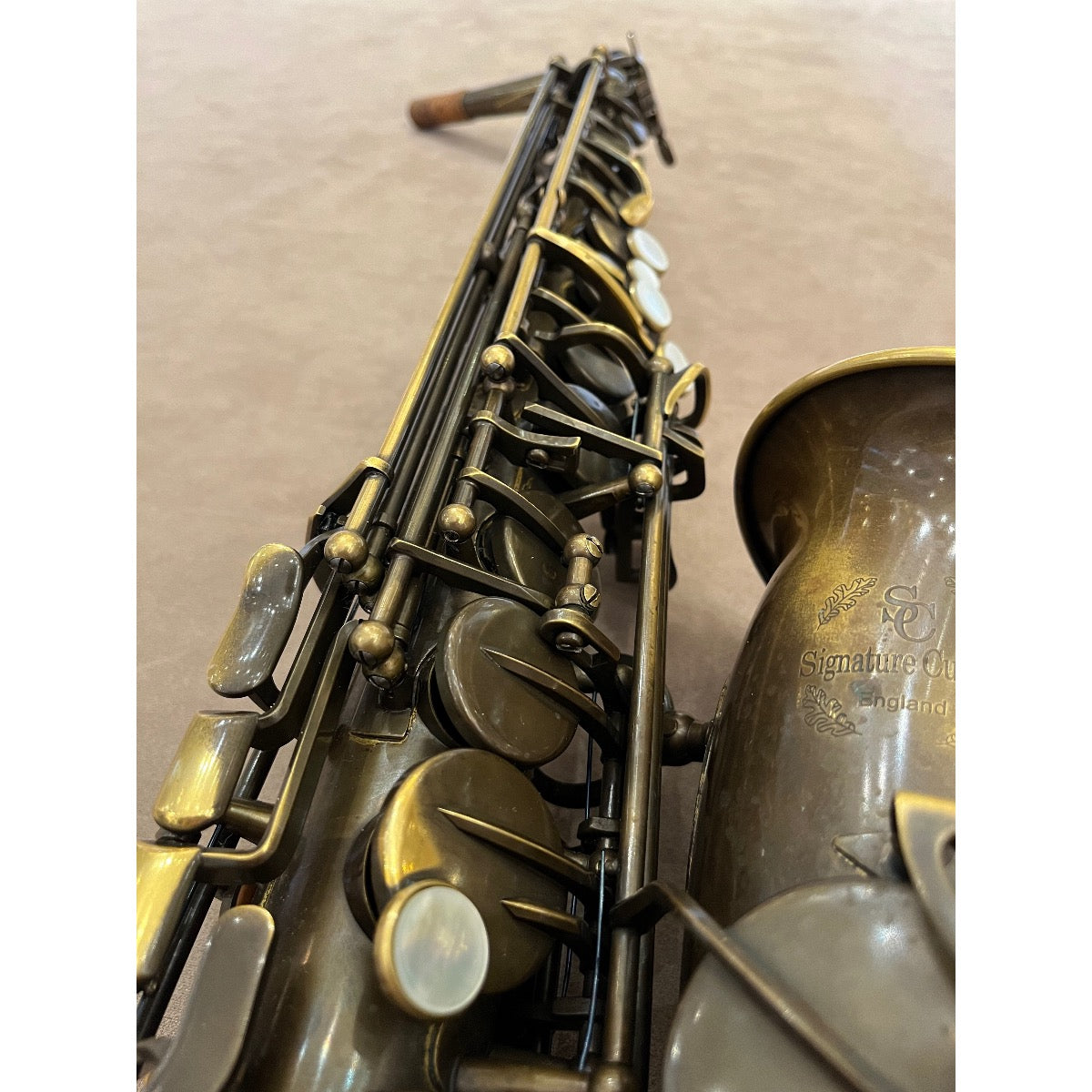 Trevor James Signature Custom raw altsaxofoon T8368