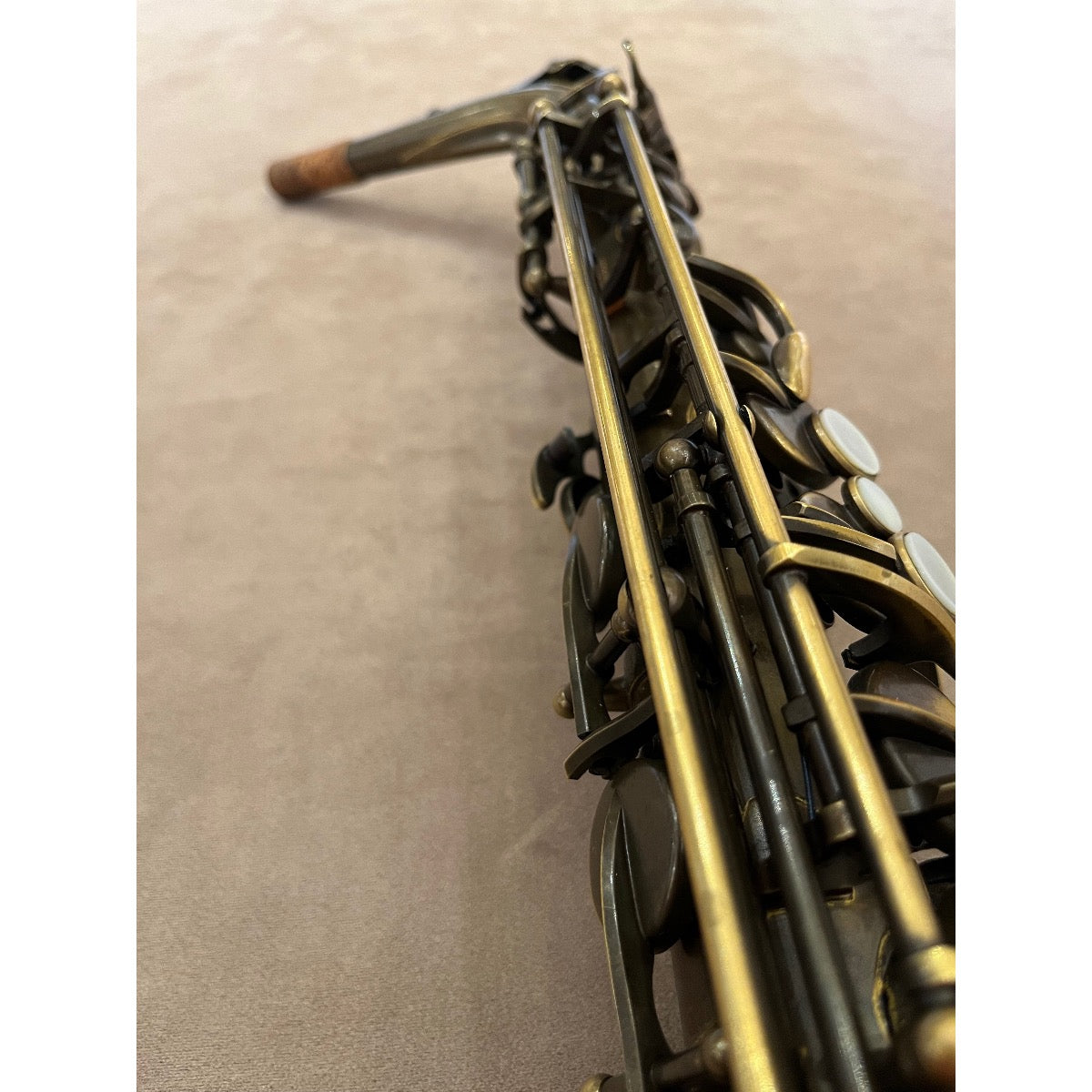 Trevor James Signature Custom raw altsaxofoon T8368