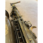 Trevor James Signature Custom raw altsaxofoon T8368